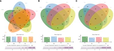 Disease-resistant varieties of Chinese cabbage (Brassica rapa L. ssp. pekinensis) inhibit Plasmodiophora brassicae infestation by stabilising root flora structure